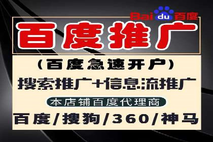 成功案例分享：SEM竞价代运营策略解析